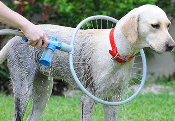 $25 for a 360 Degree Dog Washer