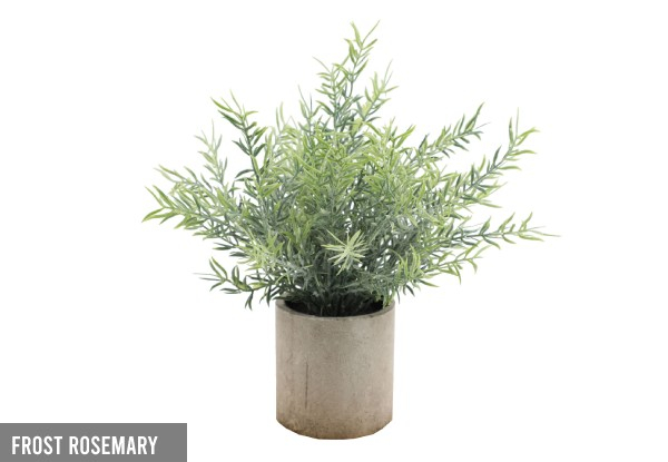 Mini Potted Artificial Plant - Three Options Available