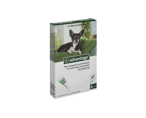 From $110 for 12 Tubes of Advantage Flea Treatment for Cats & Dogs