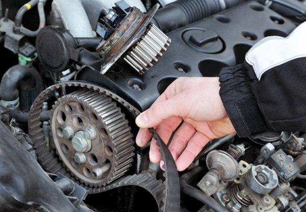 From $229 for a Spring Vehicle Maintenance Package incl. Cambelt Replacement, Safety Checks, Fluid Top-Ups & More