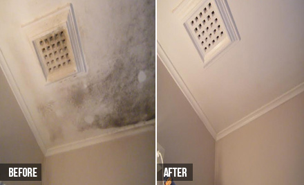 $125 for Two Chemical-Free Ceiling Cleans  (value up to $260)