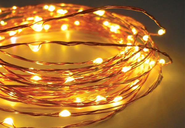 From $19 for Stunning Copper Wire Seed Lights - Two Length Options