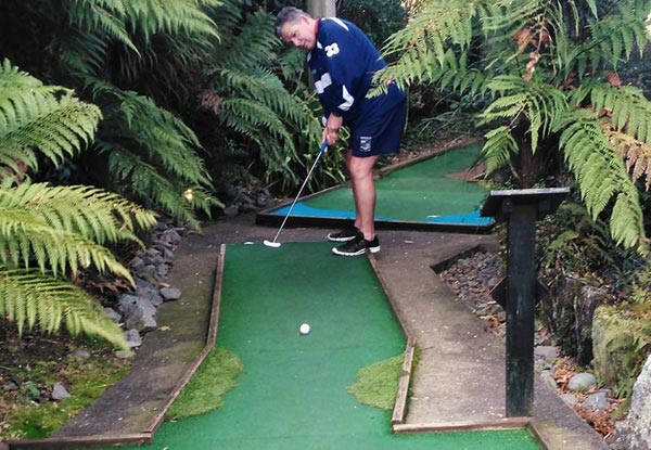 $7 for an Adult's Round of Minigolf, $5 for a Child or $8 for a V8 Simulator Ride