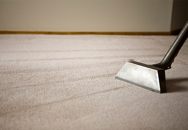 Carpet Cleaning Service for One-Bedroom House or Studio - Option for up to Six-Bedroom House