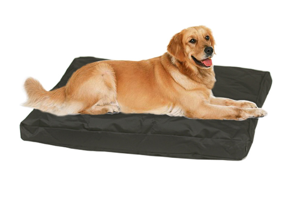 From $20 For a Cosy Water-Resistant Dog Bed Mattress - Three Sizes Available