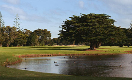 $25 for 18 Holes of Golf for One Person (value up to $50)