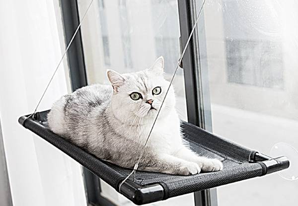 Cat Window Perch Hammock - Two Options Available