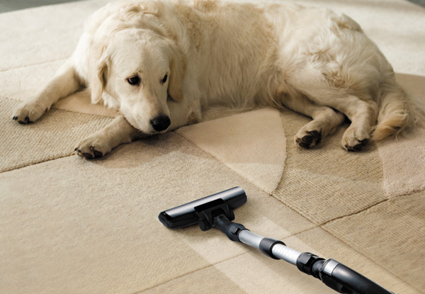 From $59 for a Complete Home Carpet Clean - Options for Up To Five Rooms (value up to $210)