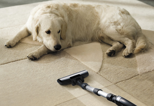 From $38 for Home Carpet Cleaning - Options Available for One, Two, Three & Four Bedroom Homes