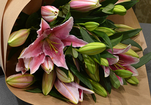 $20 for Scented Lilies - Pick Up or $25 for Auckland Wide Delivery – Two Locations