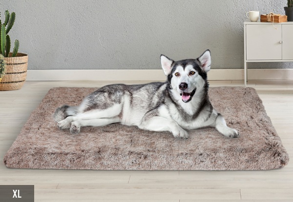 PaWz Removable Pet Memory Foam Bed Mat  - Available in Three Colours & Five Sizes