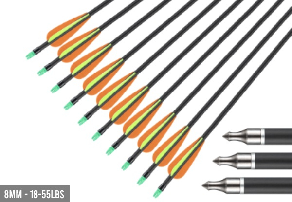 10-Pieces Fibreglass Arrows - Two Sizes Available