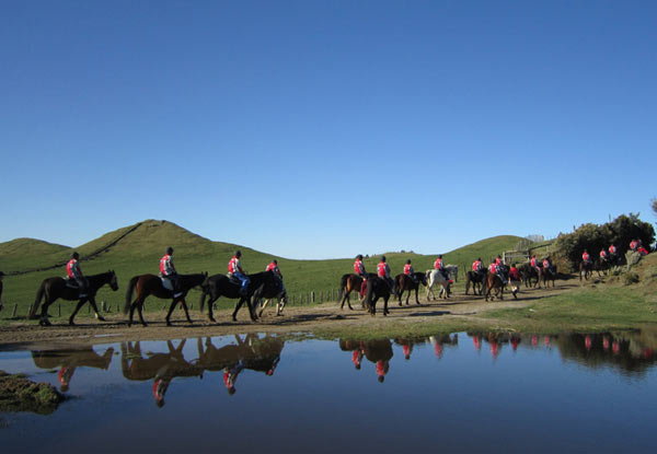 $38.50 for a One-Hour Horse Trek (value up to $55)