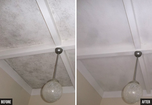 $99 for a Chemical-Free Ceiling Clean or $125 for Two (value up to $260)