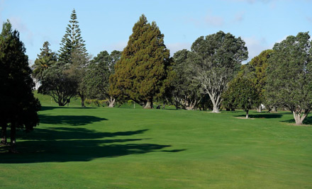 $20 for One Round of Golf (value up to $45)