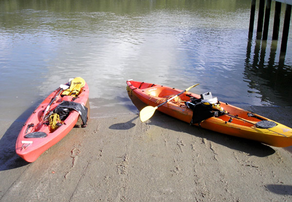 $40 for a Full Day Kayak Hire incl. Life Jacket & Safety Gear On The Hoteo River for One Person, $60 for Two People in a Double Kayak, or $80 for Three Adults or Two Adults & Three Children in a Canadian Kayak