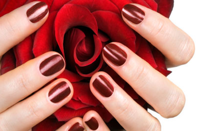 $18 for a Manicure, $25 for a Spa Pedicure or $35 for a Full Spa Manicure & Pedicure – Two Locations in Queensgate, Lower Hutt (value up to $65)