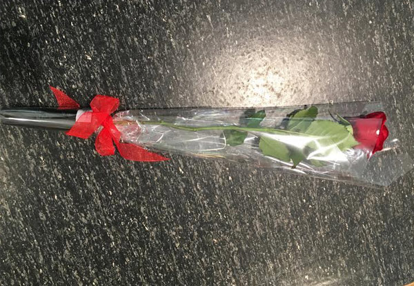 $24 for a Single Premium Quality Long-Stemmed Red Rose Delivered on Valentine's Day, $48 for Six Roses or $75 for One Dozen Roses (value up to $75)