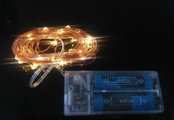 4x 2m Copper Wire Seed Lights GrabOne NZ