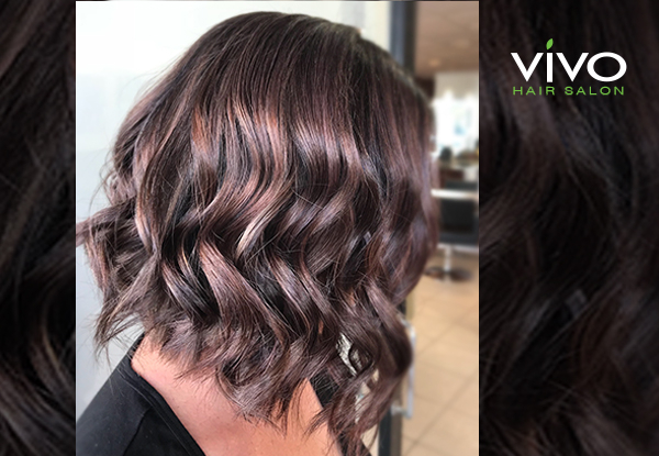 Premium Hair Colouring, Styling & Maintenance Package from Award Winning Salon VIVO - Option for All-Over Colour, Half Head, Full Head of Foils, or Range of Balayage Packages