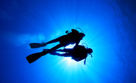 $399 for a PADI Open-Water Diver Course