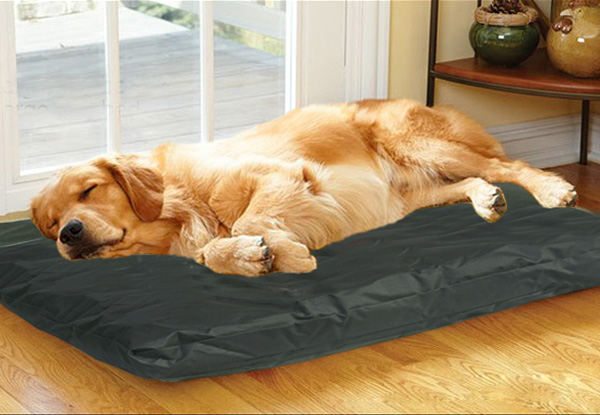 From $20 For a Cosy Water-Resistant Dog Bed Mattress - Three Sizes Available