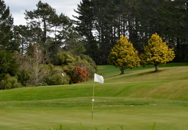 $19 for One Round of Golf (value up to $45)