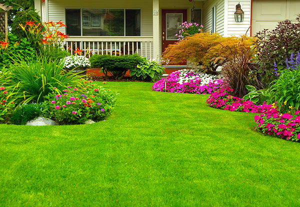 $49 for up to 50m² of Garden/Lawn Fertilisation Services