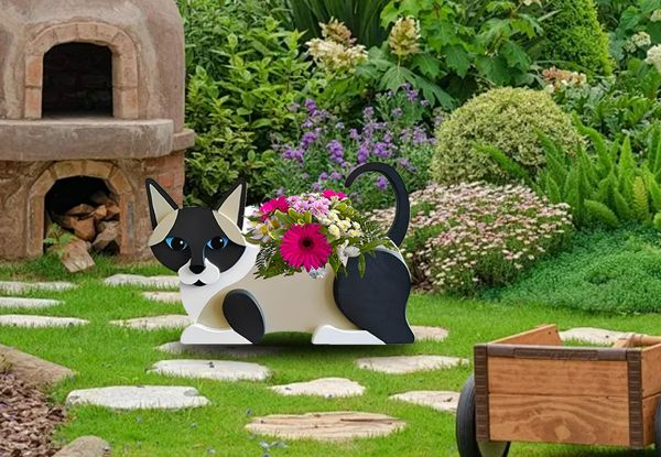 Novelty Cat Lanter Plant Pot - Available in Four Colours & Option for Two-Pack