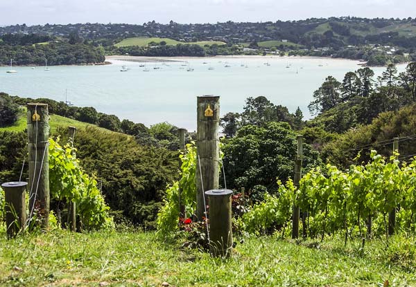 $49 for a Waiheke Winter Scenic Three Vineyard Wine Tasting Tour for One Person or $98 for Two People