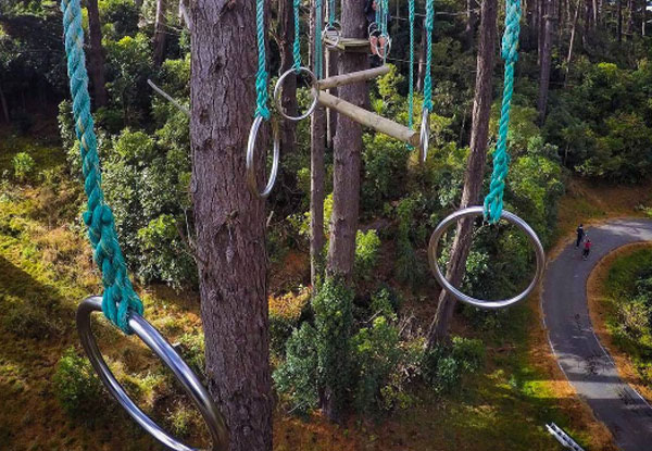 One Adult or Child Admission to Adrenalin Forest Park - Option for Wellington, Christchurch & Bay of Plenty Location