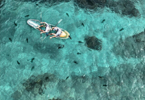 60-Minute Clear Kayak Hire at Goat Island for Two People - Option for 90-Minute Clear Kayak Hire for Two People