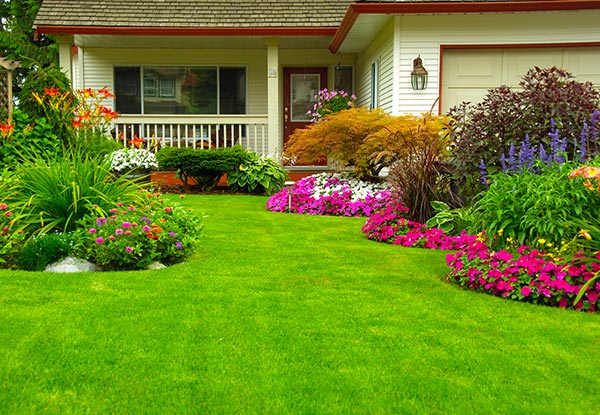 $39 for a Gardening & Landscape Design Business Diploma Course