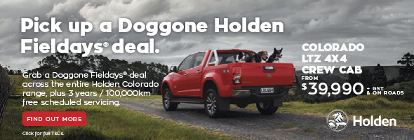 Doggone Fielddays Deals across the Holden Colorado Range
