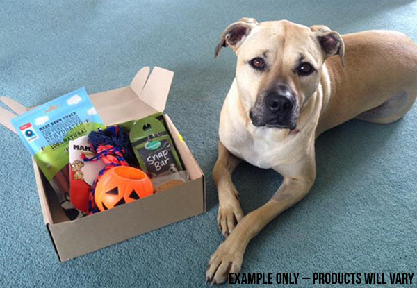 $24.99 for a Pawsome Christmas Box of Dog Treats & Products – Options Available for Different Sized Dogs