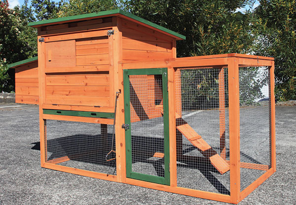 Large Chicken Coop • GrabOne NZ