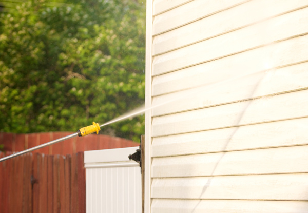 From $99 for an Exterior Pest & Spider Spray Treatment (value up to $135)