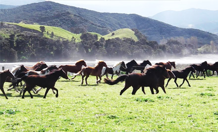$120 for a Two-Hour Horse Ride for Two - Options for up to Eight People (value up to $760)