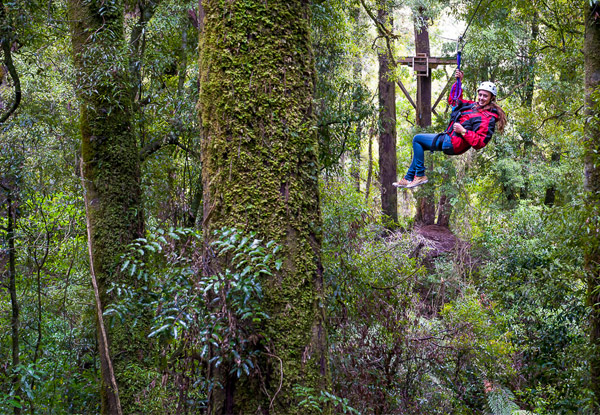 $159 for a Three-Hour Rotorua Canopy Tour & Go-Pro Footage Combo for an Adult or $115 for a Child (value up to $214)