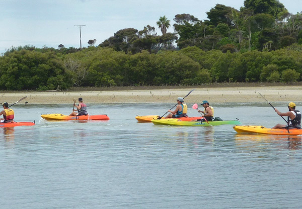 $30 for a 2½ Hour Guided Eco Kayak Tour in Ruakaka for One Adult, $20 for a Child or $95 for a Family (value up to $200)