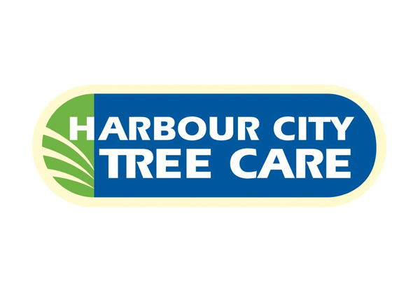 Professional Arborist Services for Four Hours incl. Hedge Trimming, Tree Pruning & Difficult Tree Removal - Option for Eight Hours