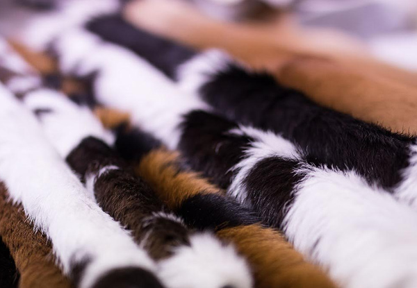 $89 for a Genuine Calf Hide Rug or $499 for a Large Genuine Cowhide Rug or Patchwork - Pick-Up in Christchurch