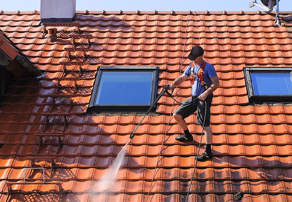 $130 for a Roof Treatment for a One-Storey House or $150 for for a Two-Storey House (value up to $430)