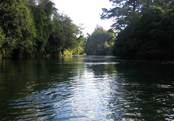50% off a Child, Adult or Senior Tickets for the Waikato River Explorer (value up to $30)