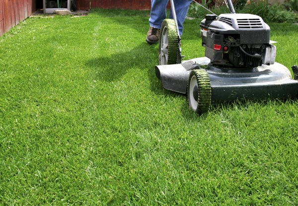 $89 for Three Hours of Gardening & Lawnmowing Services or $169 for Six Hours (value up to $270)