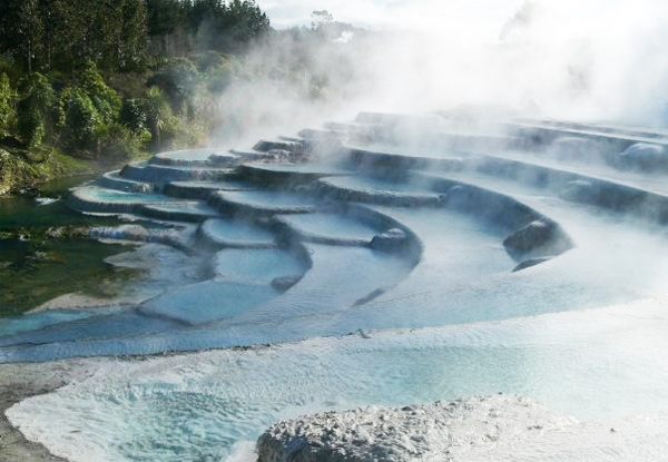 Up to 66% Off Admission – Options for Adult Thermal Pool Entry & Adult, Child or Family Wairakei Terraces Walkway Entry (value up to $54)