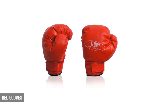 $40 for a Hanging Boxing Bag with Gloves - Available in Two Options