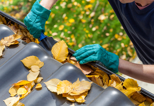 From $89 for a Gutter Clean & Flush (value up to $350)