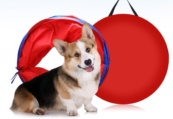 Five-Piece Petscene Dog Agility Training Kit