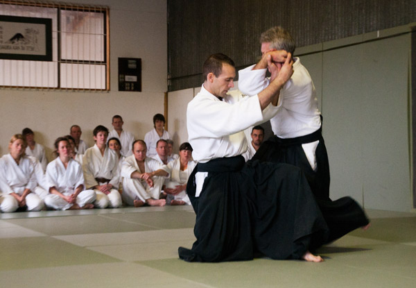 $35 for Aikido Beginners Training Course for Children (value up to $95)